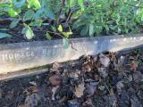 image of grave number 352032